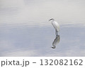 湖面で羽を休めるシラサギ 132082162