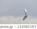 湖面で羽を休めるシラサギ 132082163