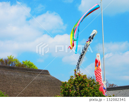 都市農業公園（東京都足立区）の古民家前で泳ぐ鯉のぼりの風景 132082341
