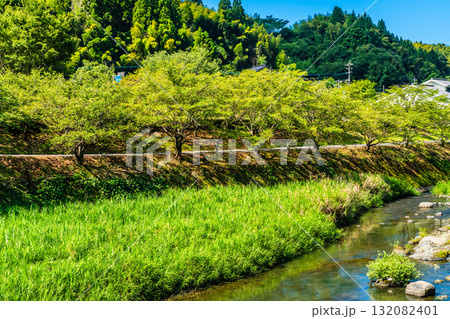 氷川 種山橋からの眺め【熊本県八代市東陽町】 氷川 種山橋からの眺め【熊本県八代市東陽町】 132082401