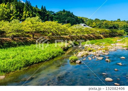 氷川 種山橋からの眺め【熊本県八代市東陽町】 氷川 種山橋からの眺め【熊本県八代市東陽町】 132082406