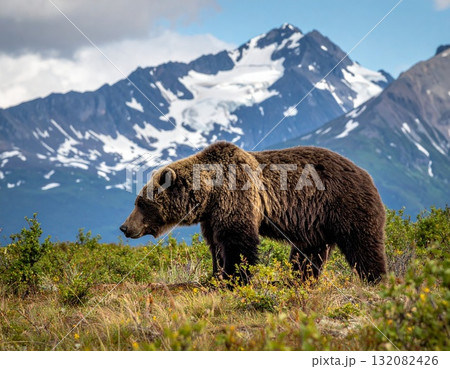 野生のヒグマ 132082426