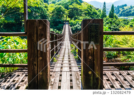 新緑の立神峡　龍神橋【熊本県八代郡氷川町】 132082479