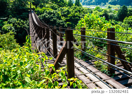 新緑の立神峡　龍神橋【熊本県八代郡氷川町】 132082481