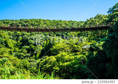 新緑の立神峡 龍神橋【熊本県八代郡氷川町】 新緑の立神峡 龍神橋【熊本県八代郡氷川町】 132082483