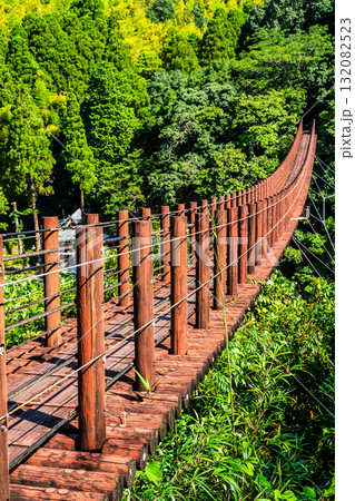 新緑の立神峡 火の国橋【熊本県八代郡氷川町】 新緑の立神峡 火の国橋【熊本県八代郡氷川町】 132082523