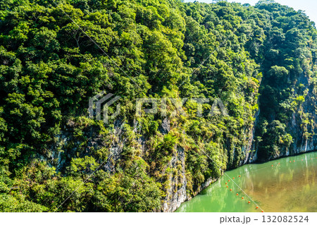 新緑の立神峡 火の国橋からの眺め【熊本県八代郡氷川町】 新緑の立神峡 火の国橋からの眺め【熊本県八代郡氷川町】 132082524