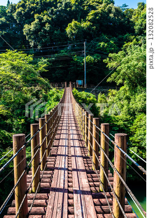新緑の立神峡　火の国橋【熊本県八代郡氷川町】 132082528