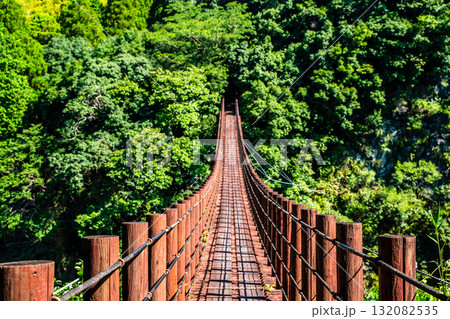 新緑の立神峡　火の国橋【熊本県八代郡氷川町】 132082535