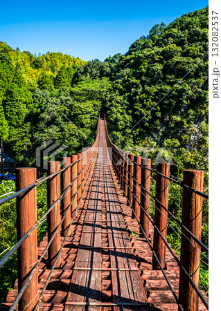 新緑の立神峡 火の国橋【熊本県八代郡氷川町】 新緑の立神峡 火の国橋【熊本県八代郡氷川町】 132082537