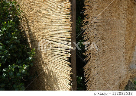 宇治市の伝統茶畑 132082538