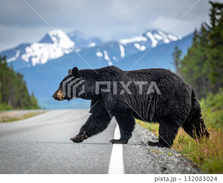 道路を横断する黒い熊 132083024