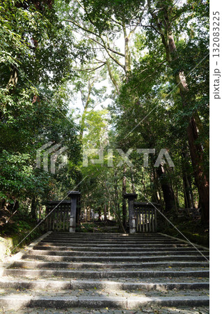 法然院の参道 132083225