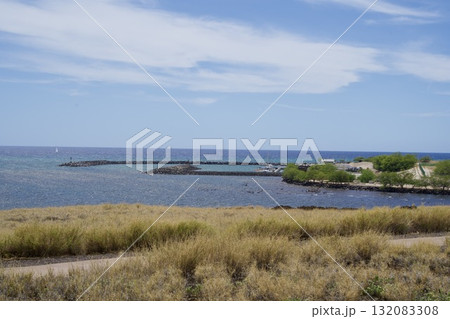 ハワイ島の草原と輝く海の風景 ハワイ島の草原と輝く海の風景 132083308