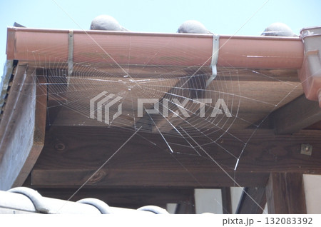 蜘蛛の巣（東秩父村 和紙の里／埼玉県秩父郡東秩父村御堂634） 132083392