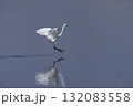 水面上を飛ぶシラサギ 132083558