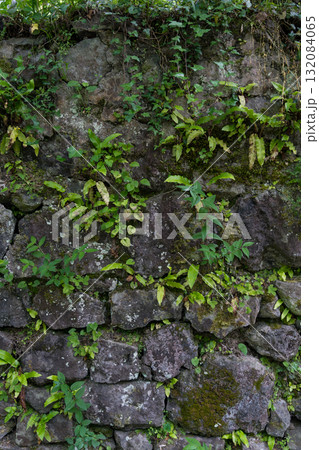 old stone wall covered with moss and vines background. Stone wall background 132084065