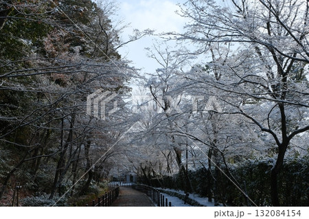 雪の粟生光明寺 132084154
