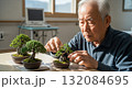 Elderly Asian man carefully trimming and maintaining small bonsai trees in bright sunlit room with medical equipment visible in background 132084695