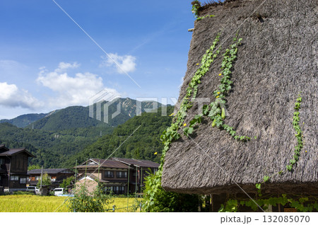 ヘチマが茅葺き屋根を彩る秋の白川郷 132085070