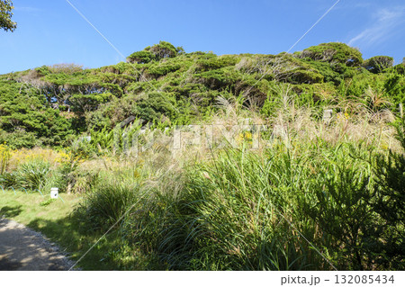 青い空と海と須々木　 132085434