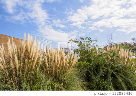 青い空と海と須々木　 132085436
