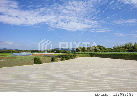 夏の青空と広い畑 132085583