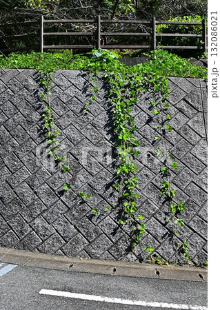 緑の苔が生えたコンクリートの擁壁とカーブしたアスファルトの道 緑の苔が生えたコンクリートの擁壁とカーブしたアスファルトの道 132086021