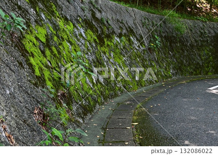 緑の苔が生えたコンクリートの擁壁とカーブしたアスファルトの道 緑の苔が生えたコンクリートの擁壁とカーブしたアスファルトの道 132086022