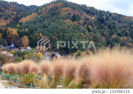 紅葉の季節に人気の富士河口湖ハナテラス 132086128