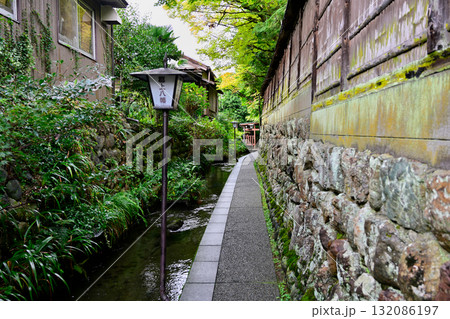 郡上八幡　いがわ小径 132086197