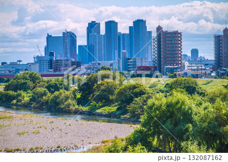 日本の東京都市景観10月17日…多摩川や水鳥（左下）、川崎・武蔵小杉駅前のタワーマンション群など望む 132087162