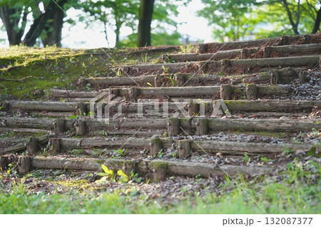 緑の階段 132087377