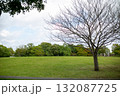 公園 132087725