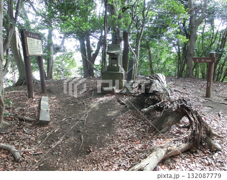 平塚市の日之宮神社 平塚市の日之宮神社 132087779