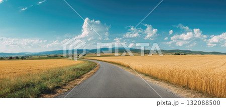 Panoramic view of a winding asphalt road cutting through vast golden wheat fields under a bright blue sky. This rural summer landscape symbolizes freedom, travel, and agriculture Panoramic view of a winding asphalt road cutting through vast golden wheat fields under a bright blue sky. This rural summer landscape symbolizes freedom, travel, and agriculture 132088500