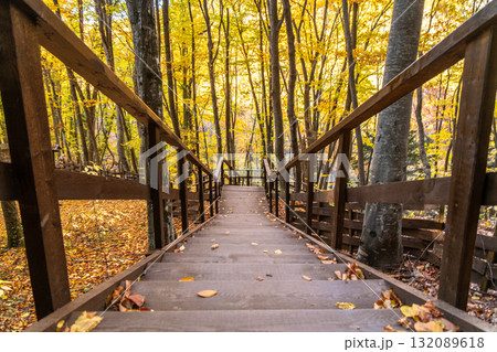 Autumn forest stairs, a wooden staircase descends through golden leaves in a tranquil natural park. Autumn forest stairs, a wooden staircase descends through golden leaves in a tranquil natural park. 132089618