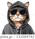 Cat wearing sunglasses and a hoodie, striking a confident pose, showcasing a playful and trendy vibe, perfect for modern digital art 132089742