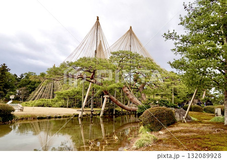 兼六園　雪吊りされた唐崎松が見える風景　石川県金沢市 132089928