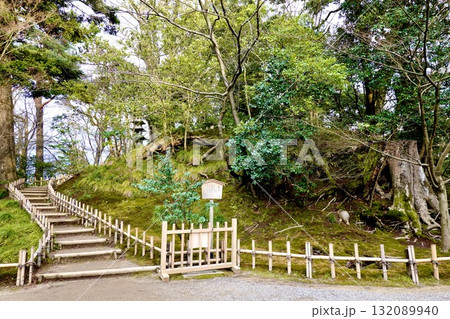 兼六園 小高野料金所近くから山崎山を見上げた風景 石川県金沢市 兼六園 小高野料金所近くから山崎山を見上げた風景 石川県金沢市 132089940