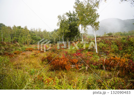 小雨降る秋の乗鞍高原 132090483