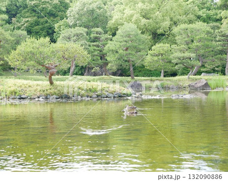 景色 風景 池 132090886