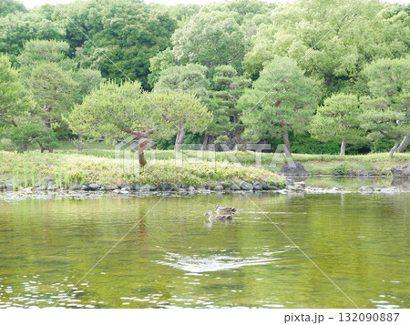 景色 風景 池 132090887