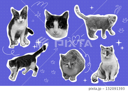 Cat halftone collage sticker set, trendy retro y2k pet, funky emoticon animal, pop aesthetic background. Meme head with speech bubble. Funny kitty. 132091393