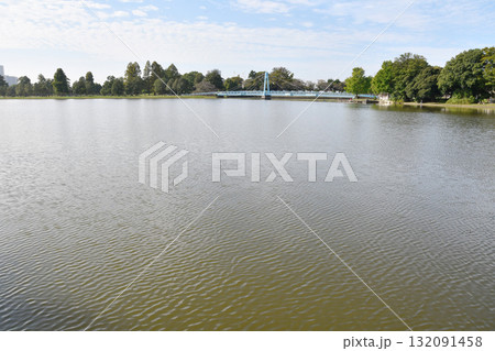 みさと公園_43 みさと公園_43 132091458