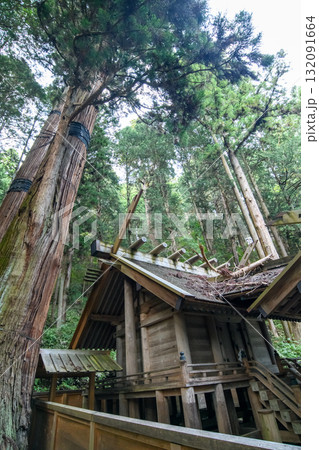 国宝仁科神明宮と杉巨木 天然記念物 長野県 国宝仁科神明宮と杉巨木 天然記念物 長野県 132091664