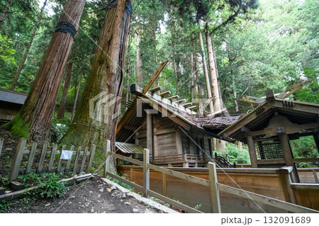 国宝仁科神明宮と杉巨木 天然記念物 長野県 国宝仁科神明宮と杉巨木 天然記念物 長野県 132091689