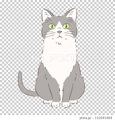 一隻坐著的三色貓 132091804