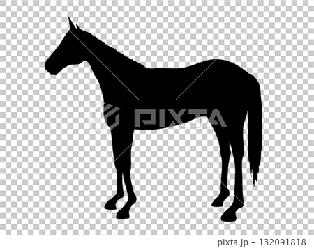 Monochrome silhouette illustration of a horse standing facing left Monochrome silhouette illustration of a horse standing facing left 132091818