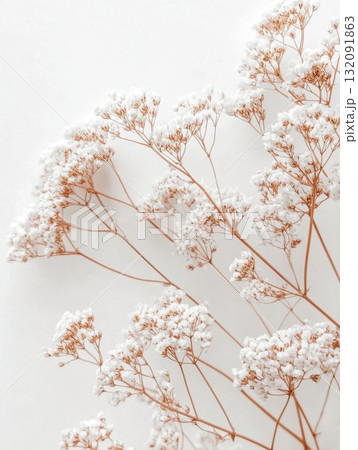 Colorful spring wildflowers illustration, bright floral pattern, botanical artwork, white background 132091863